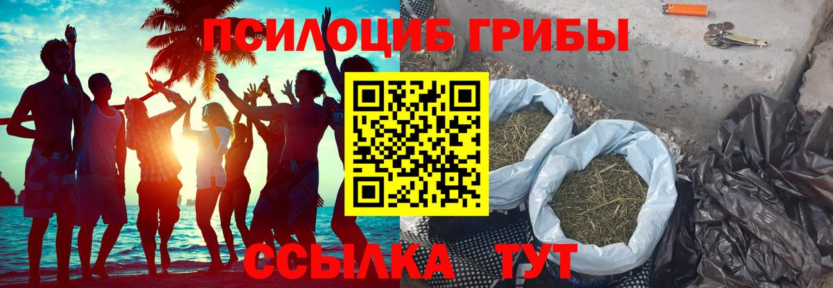 Сегежа  Псилоцибиновые грибы ЛСД  Вход с VPN 